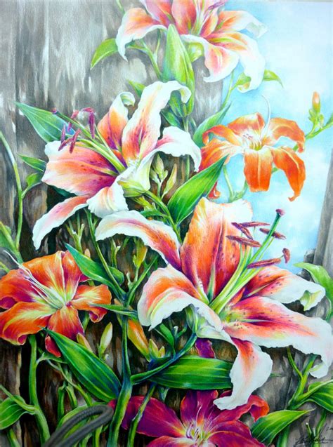 ORIGINALLilies colored pencil drawing by paintingkim on Etsy | Flower ...