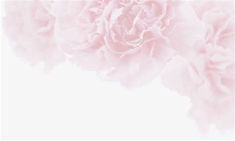 Pale Pink Flowers Background Element PNG, Clipart, Background, Element ...