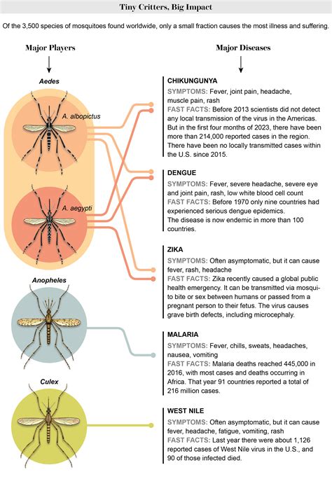 Mosquitoes Carry Nasty Diseases. Here's How to Protect Yourself - Scientific American