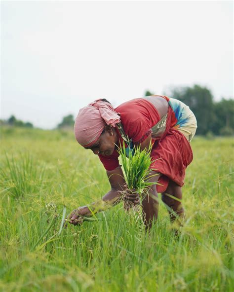 Keeping Promises on Hunger and Climate Change - Bread for the World