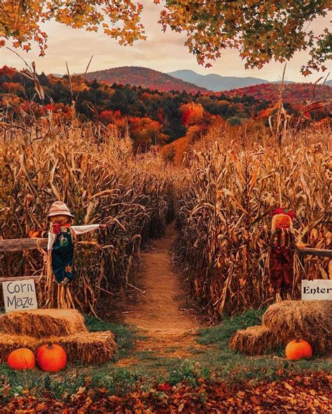 @halloween_creepers on Instagram: “🎃🧡🍁🌾 . . 📸 by @kjp . . . # ...