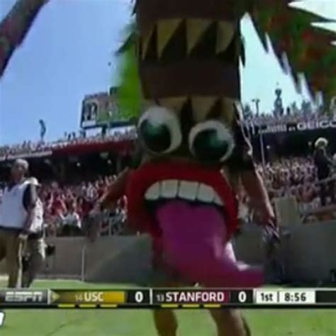 Stanford's Tree Mascot Evolved and it Looks Terrifying | Complex