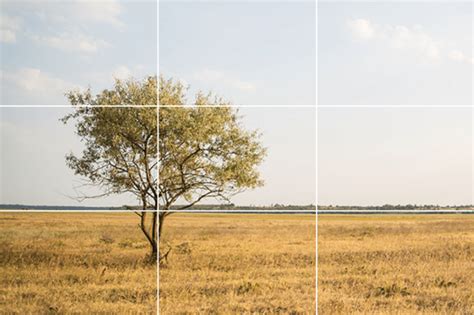 Rule of Thirds (2024): The Definitive Guide with Examples