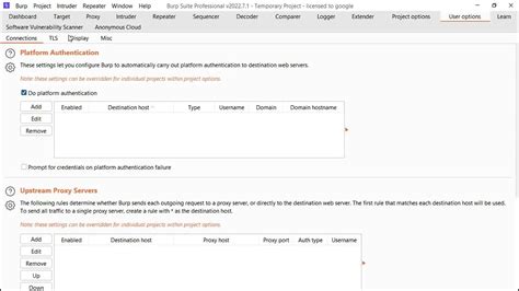 How to enable dark mode in Burp Suite - YouTube