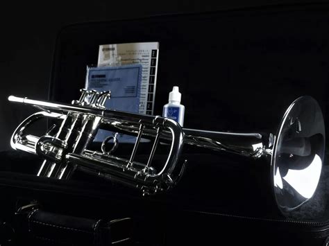 4 Best Yamaha Trumpets Reviewed in Detail [Nov. 2024]