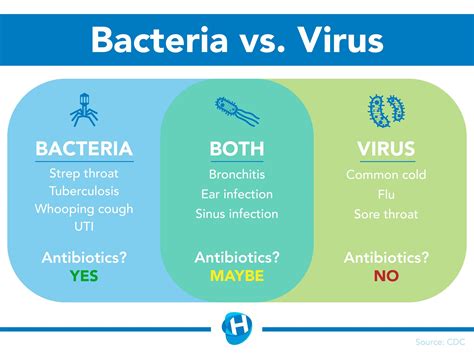 Bronchitis Bacteria