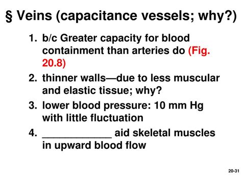 PPT - Chapter 20– Blood Vessels & Circulation PowerPoint Presentation - ID:3223786