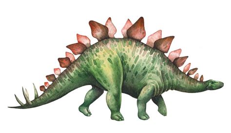 Thagomizer: Why Stegosaurus’ Spiky Tail Was Named After A Cartoon ...