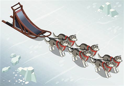 Royalty Free Sled Dog Race Clip Art, Vector Images & Illustrations - iStock