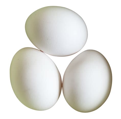 eggs png 20 free Cliparts | Download images on Clipground 2024