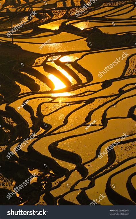 Rice Terraces Of Yuanyang, Yunnan, China Stock Photo 28962964 : Shutterstock