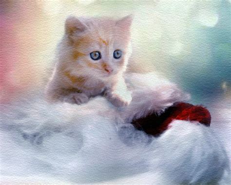 Christmas Kitten Watercolor Free Stock Photo - Public Domain Pictures