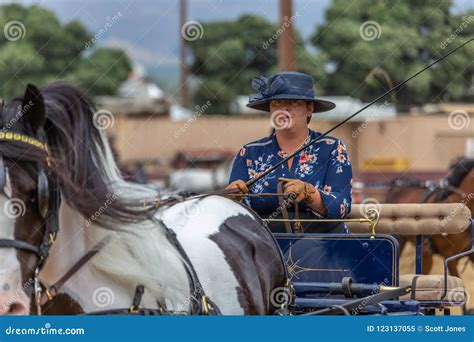 Carriage Driving Competition Editorial Image - Image of carriage, county: 123137055