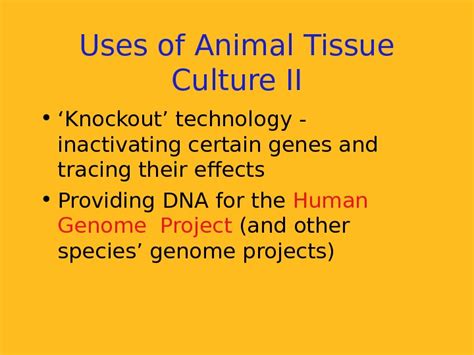 Презентация plant tissue culture and applications