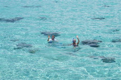 Moorea Hilton-snorkeling from the overwater bungalow #DeniseMello # ...