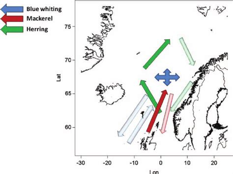 A schematic overview of the annual large-scale migration pattern.... | Download Scientific Diagram