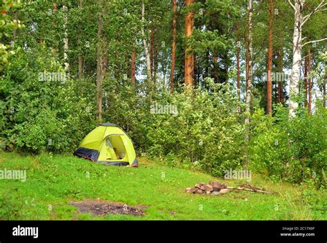 Camping tent in summer forest Stock Photo - Alamy