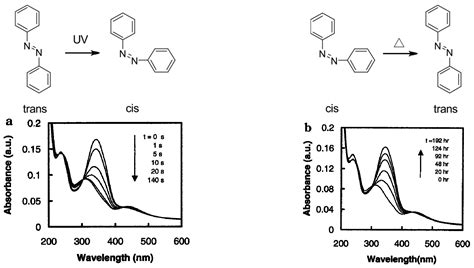 Polymers | Free Full-Text | Photosensitive Layer-by-Layer Assemblies Containing Azobenzene ...