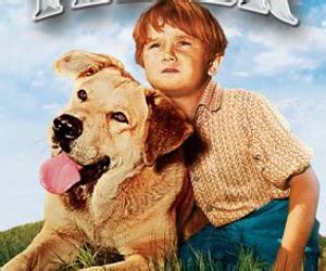 Old Yeller Movie Rating & Info