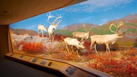 Denver Museum of Nature and Science in Denver, Colorado | Expedia.ca