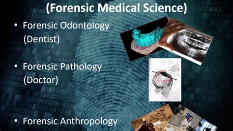 FORENSIC SCIENCE Careers - YouTube