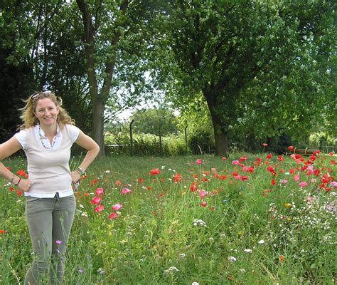 Wildflower seeding - Ecohab Wildflowers