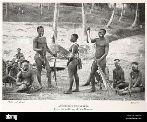 Andamanese encampment The Andamanese are the various indigenous peoples ...