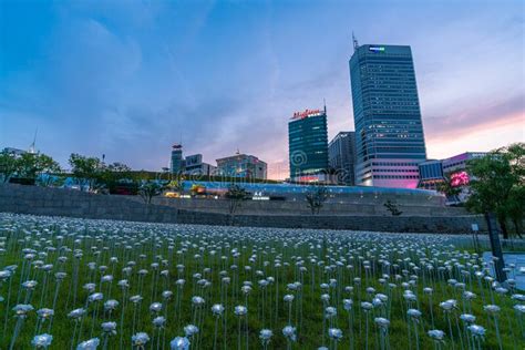 Seoul City Skyline at Sunset with Beautiful LED Rose Field at Dongdaemun Design Plaza DDP ...