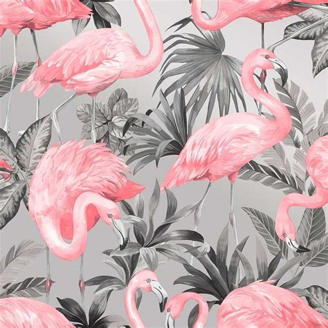 Pink Flamingo Laptop Wallpapers - Top Free Pink Flamingo Laptop ...