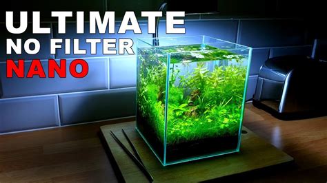 ULTIMATE NANO Aquarium (How To: 2 Gallon Fish Tank || No Filter, No Heater, No Ferts, No co2 ...