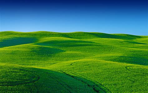 HD wallpaper: Stock, Landscape, Scenery, Greenery, Blue sky | Wallpaper Flare