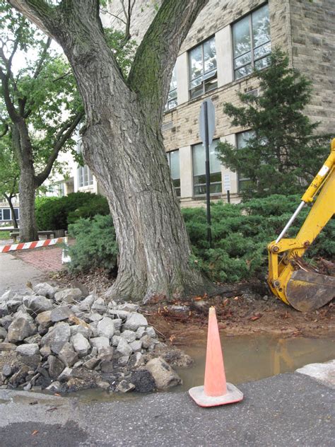 root damage | K-State Turf and Landscape Blog