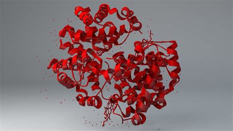 Scientific hemoglobin structure 3D model - TurboSquid 1156055