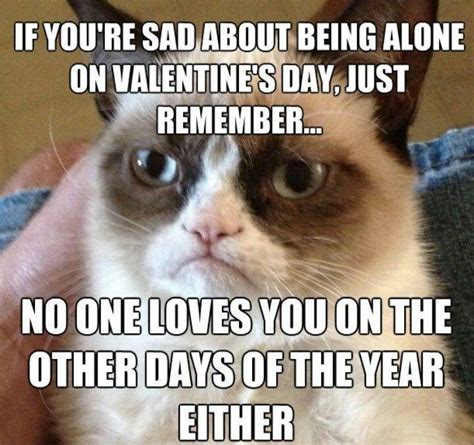 grumpy cat valentine - Bing Images | Grumpy cat quotes, Funny grumpy ...