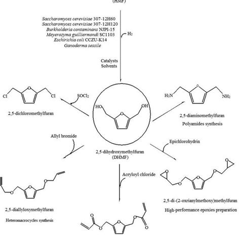 (PDF) High-fructose corn syrup production and its new applications for 5-hydroxymethylfurfural ...