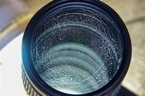 Camera Lens Fungus: 12 Essential Maintenance & Cleaning Tips | Clever ...