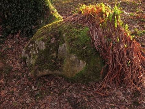 Stunning Grass Sculptures in The Lost Gardens of Heligan | FREEYORK