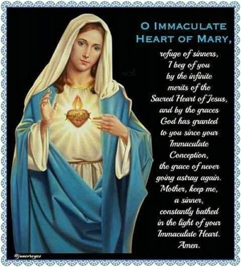 Pin by Judy on 4. My Catholic Faith | Prayers to mary, Catholic mother, Catholic prayers