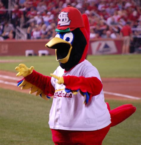 File:Fredbird.jpg - Wikipedia