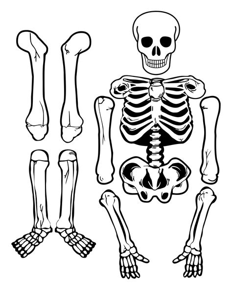 Large Printable Skeleton