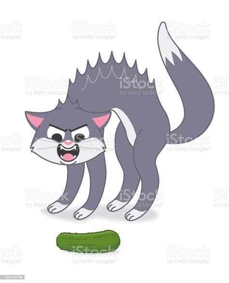 Funny Cat Videos Cucumber Prank Joke Cute Kitten Stock Illustration ...