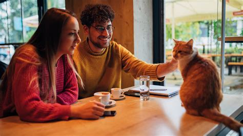 Cat Lovers, These Are The Best Cat Cafes Around The World, According To Customers