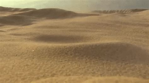 Sands GIFs - Find & Share on GIPHY