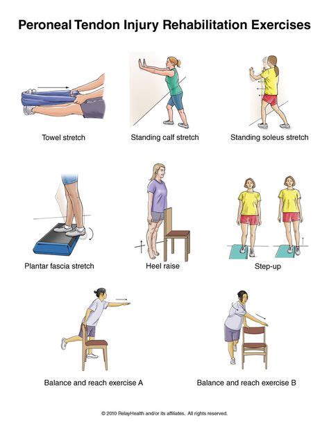 Peroneal Tendon Injury Exercises | PTA life | Physical therapy exercises, Peroneal tendonitis ...