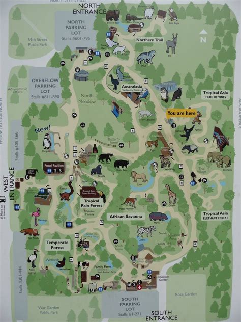 Woodland Park Zoo Map | Zoo map, Woodland park zoo, Zoo park