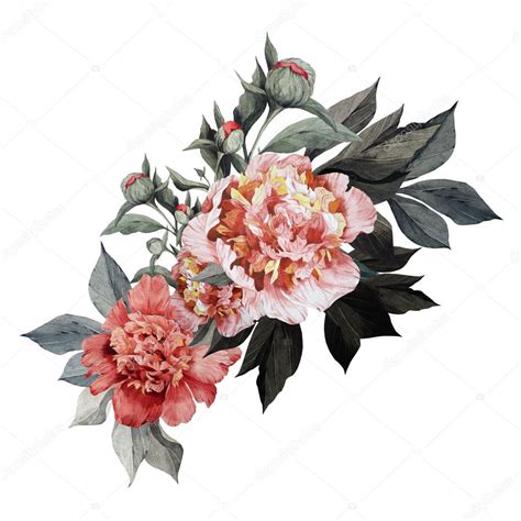 Watercolor Bouquet of peonies — Stock Photo © ollallya #66408421