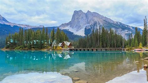 Tours from Calgary to Vancouver | 20 Reviews | 2021 & 2022 Seasons