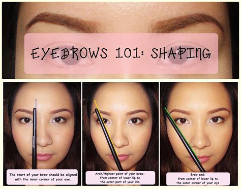 Eyebrows 101: How to Shape Your Brows | Best eyebrow products, Eyebrow ...