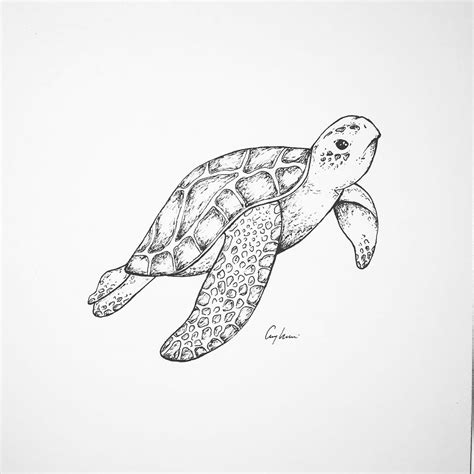 Sea animals drawings, Ocean drawing, Ocean tattoos