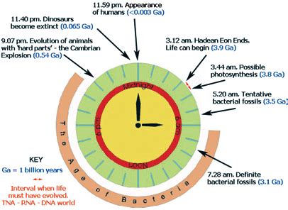 BBC - Radio 4 In Our Time - The origins of Life clock